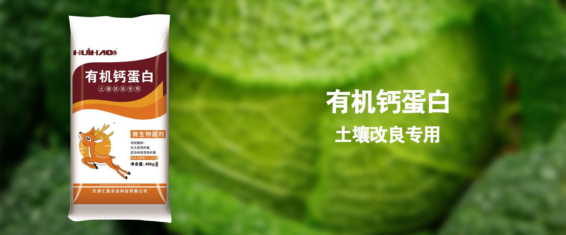内容尺寸小.jpg