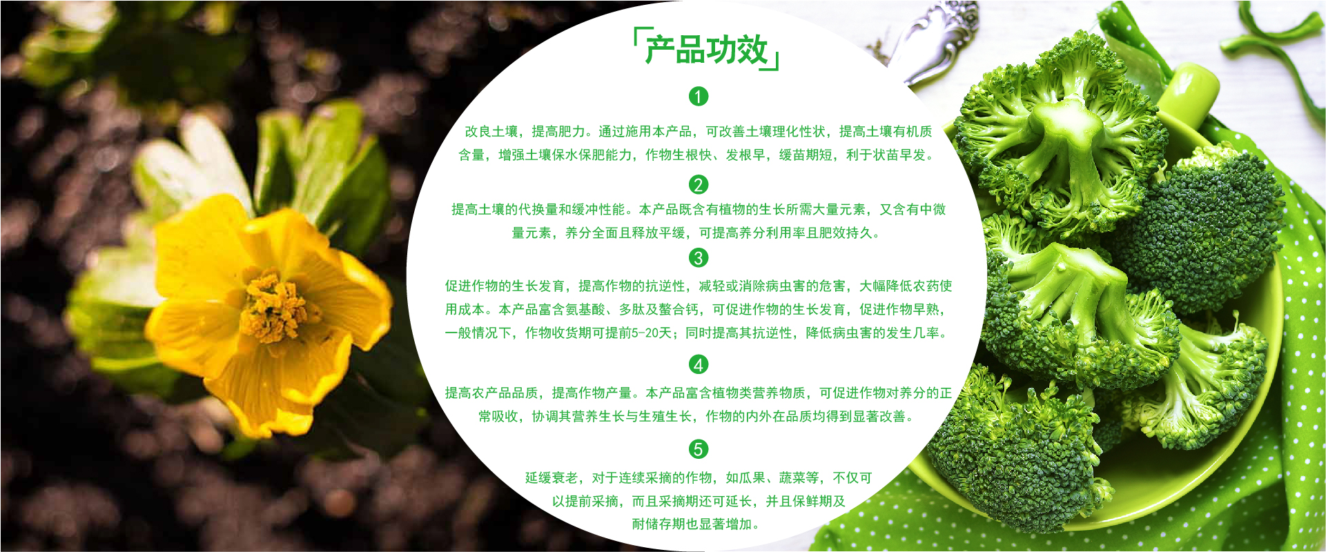 功效介绍图-01.jpg