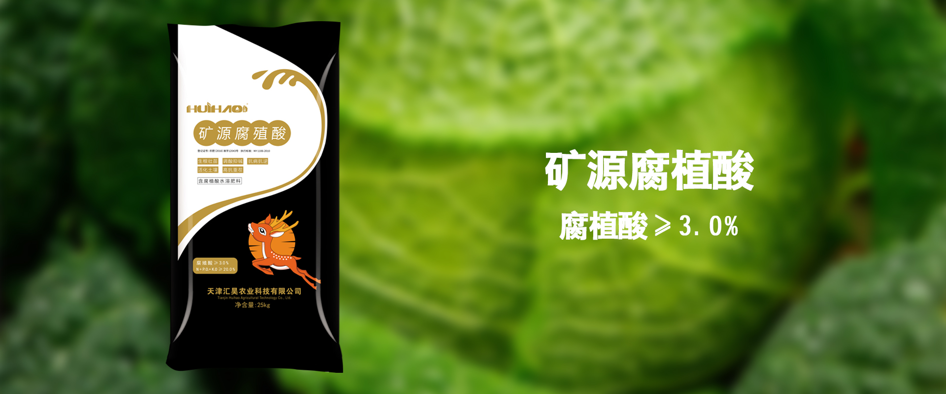 内容尺寸小.jpg