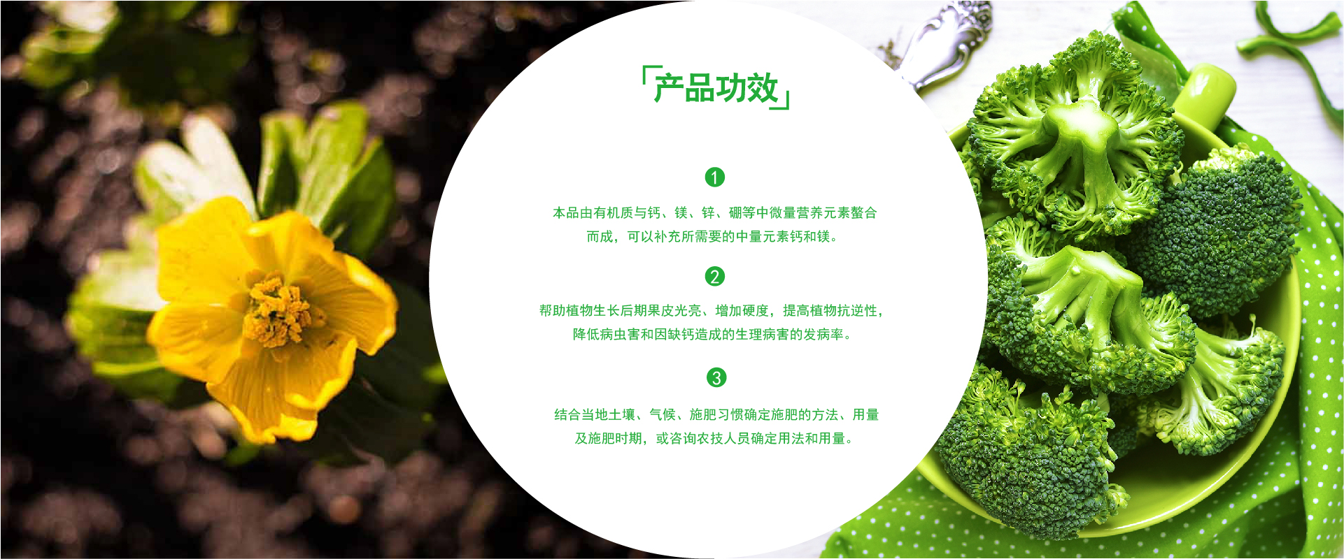功效介绍图-01.jpg